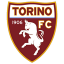 Transfer news Torino